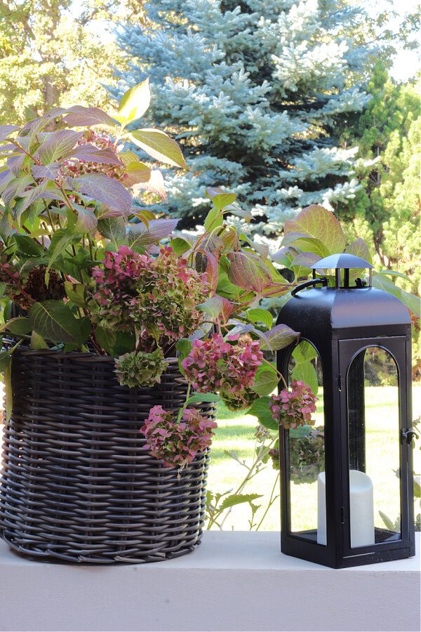 hydrangeas, baskets and lanterns