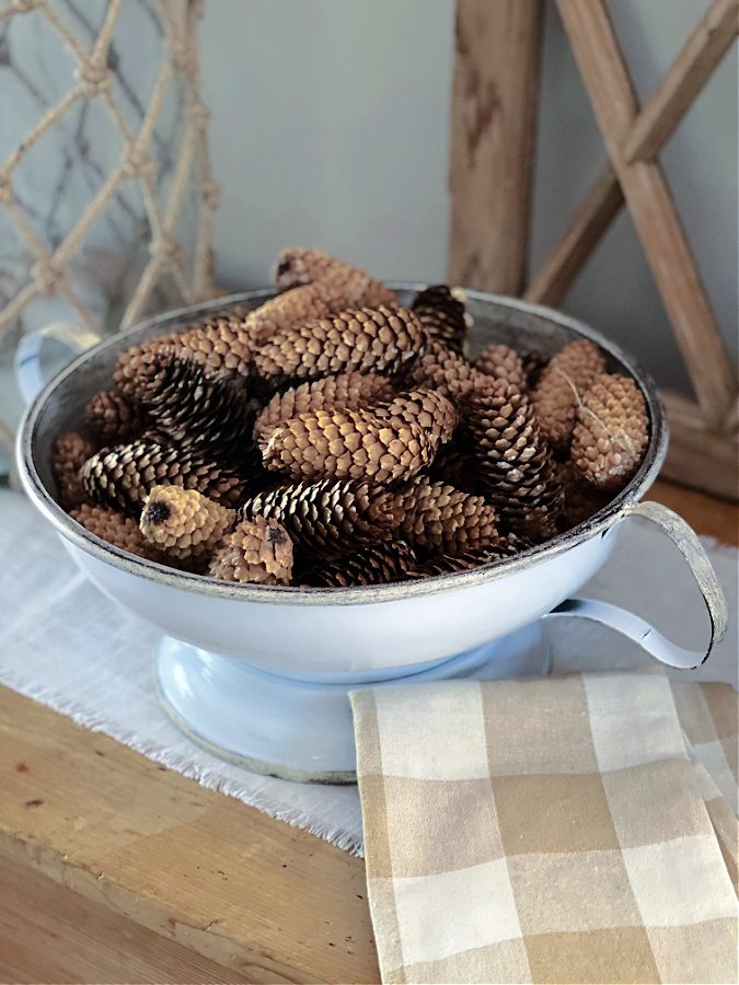 Pinecones in the footed bowl for Fall.