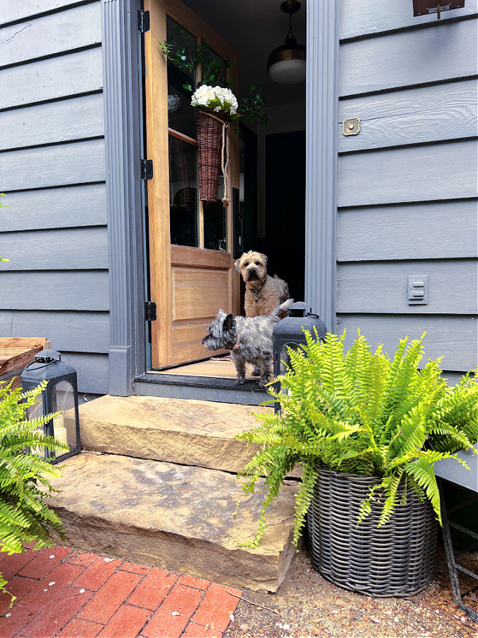 Front steps