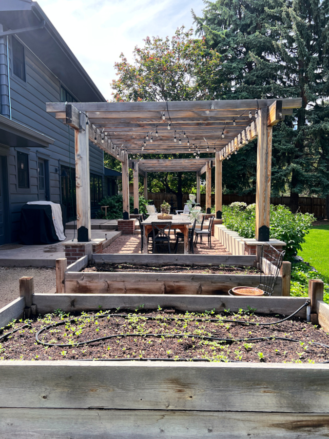 Raised garden beds in our backyard