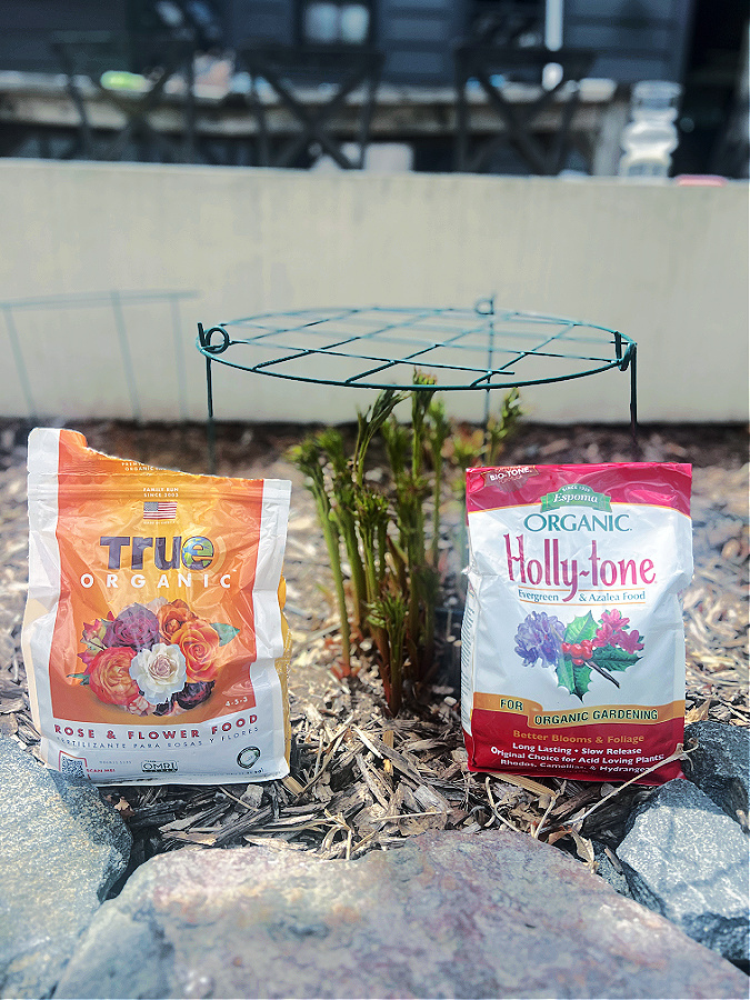 slow release fertilizers for peonies