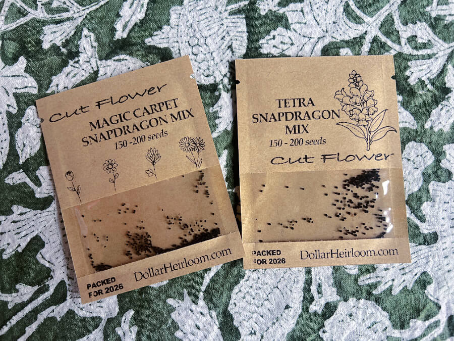 snapdragon seeds