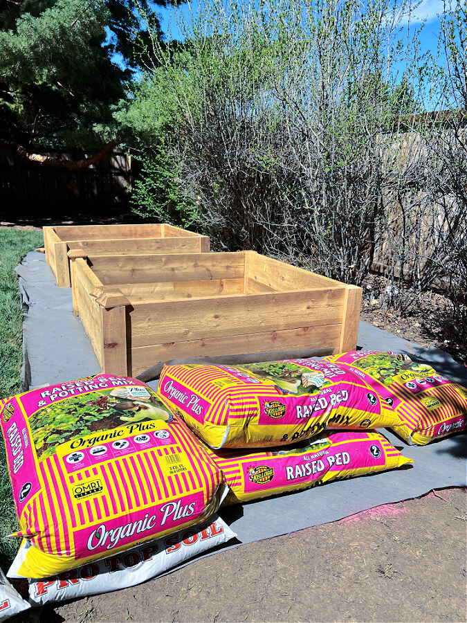 raised bed organic soil