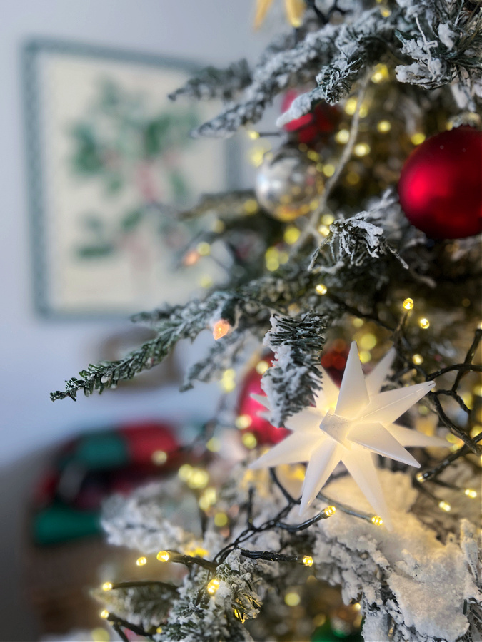 Roots and Reflections: Christmas Decorating Has Begun