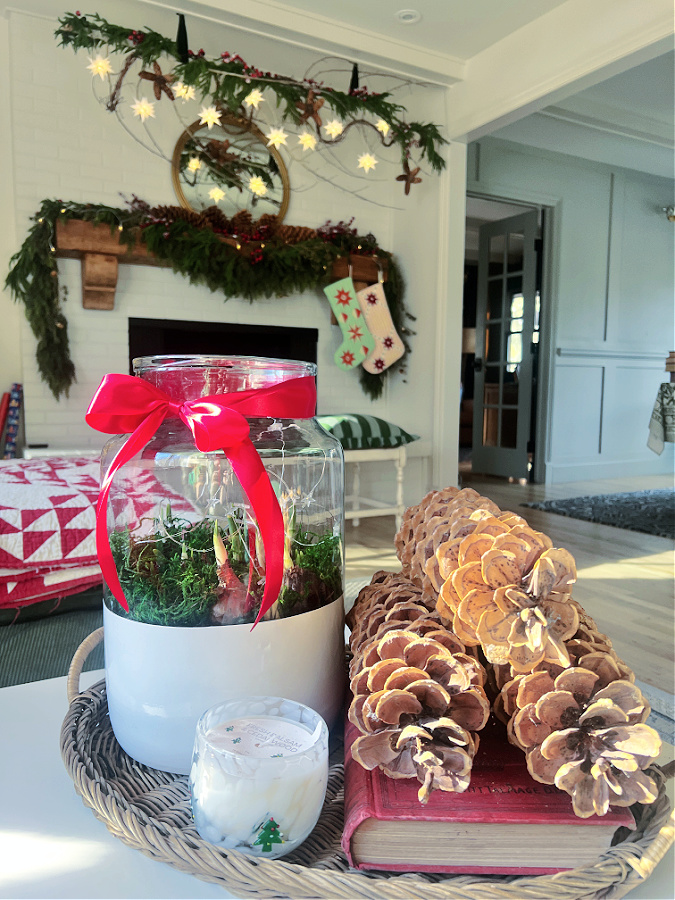 Roots and Reflections: Christmas Home Tour