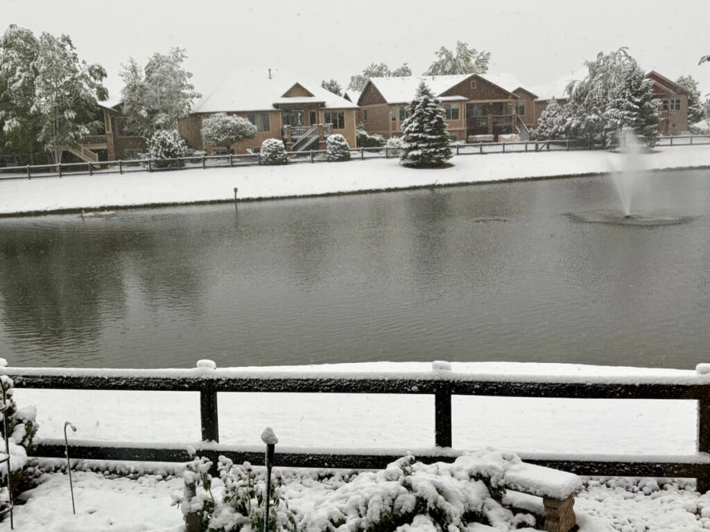 Tuesdays with Tracy winter pond?