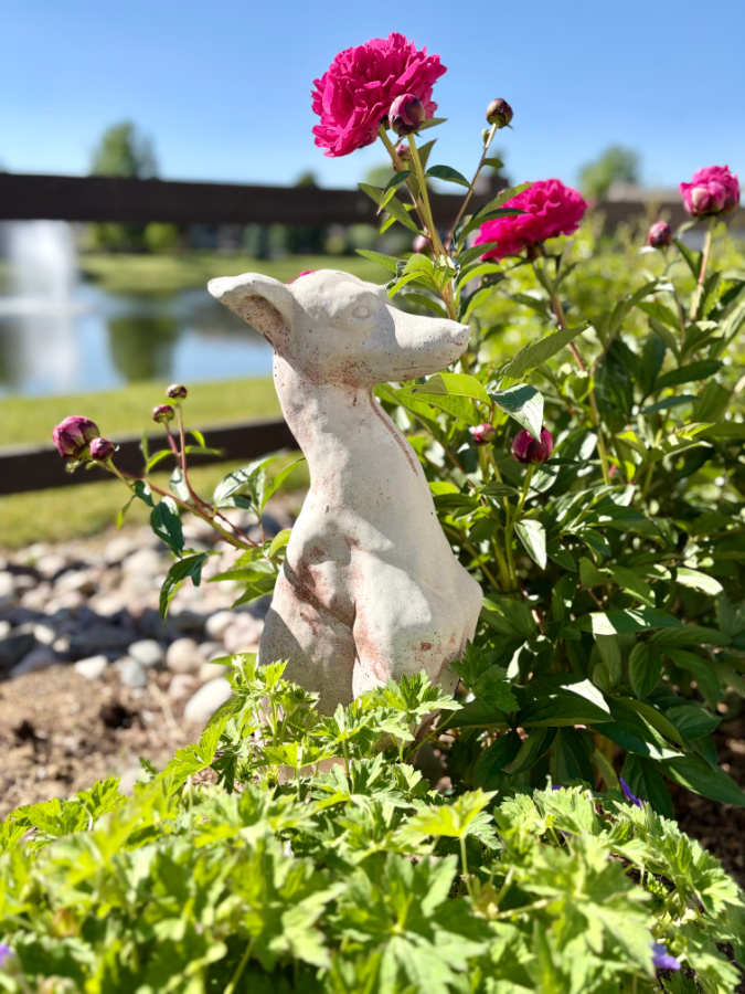 Bubba the cement dog