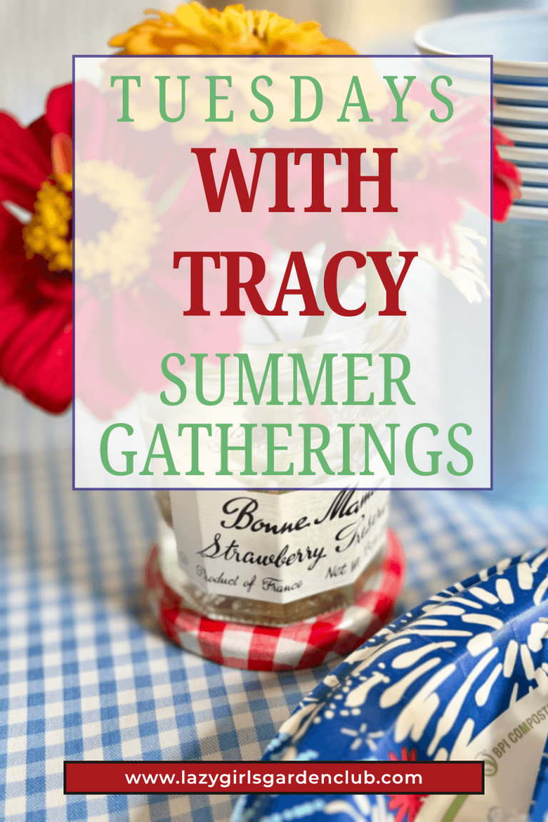 Tuesdays With Tracy Summer Gatherings