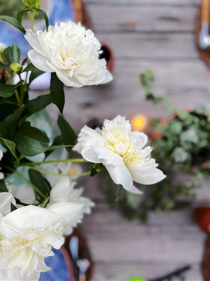 White peonies for a sweet summer table