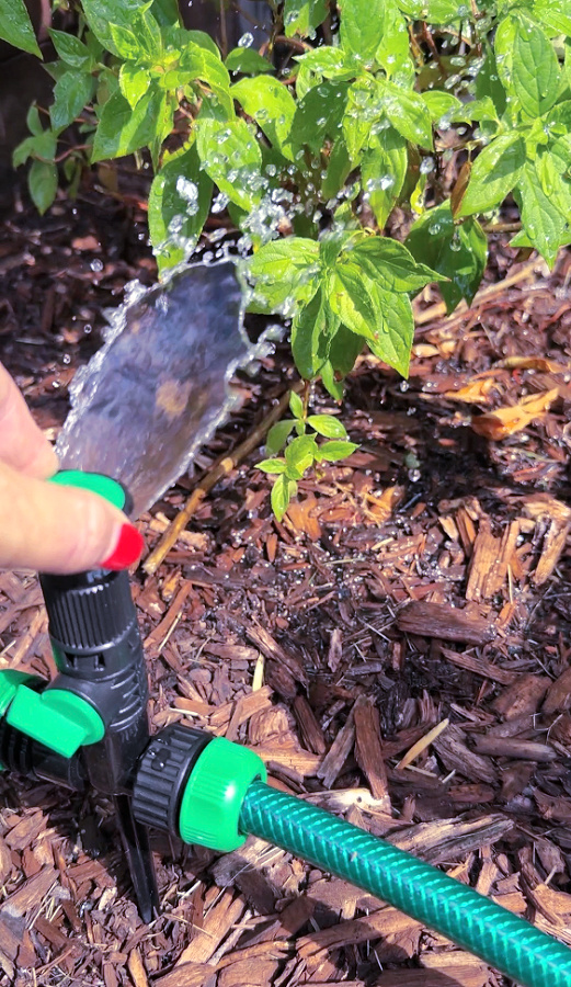 adjustable sprinkler