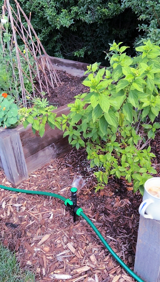above ground sprinkler