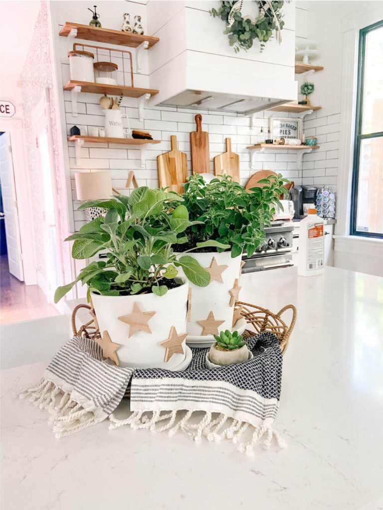 Welcome Home Saturday: Terra Cotta Herb Star Planter