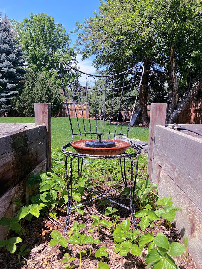 Solar Fountain on metal chair between two raised garden beds