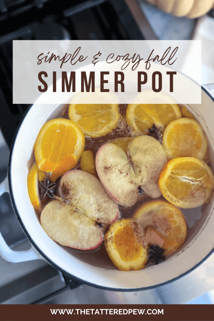 simple fall simmer pot