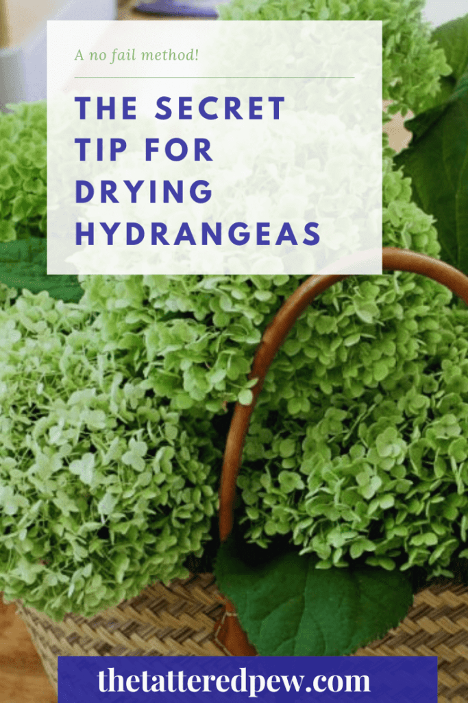 You can thank me later for my secret tip for drying hydrangeas!