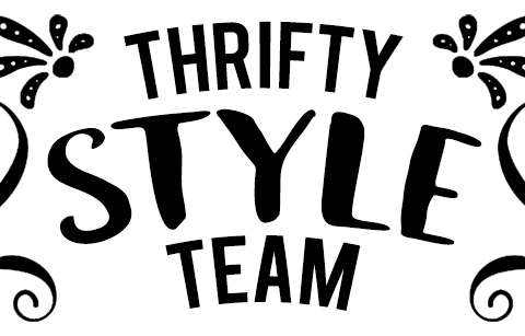 Thrifty Style Team