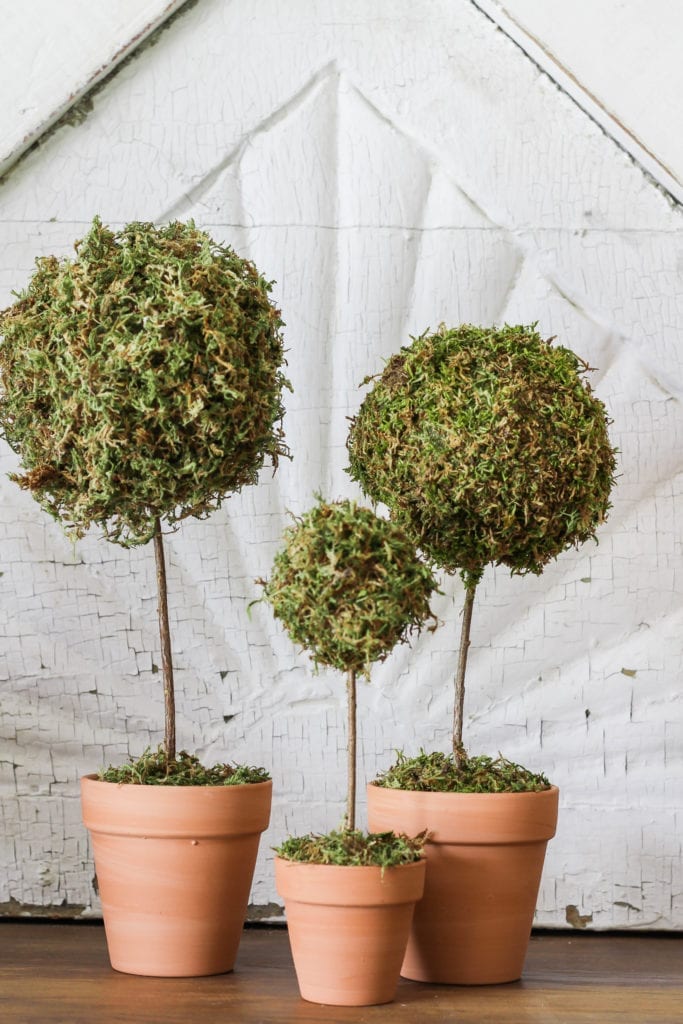 Mini moss ball topiary DIY.