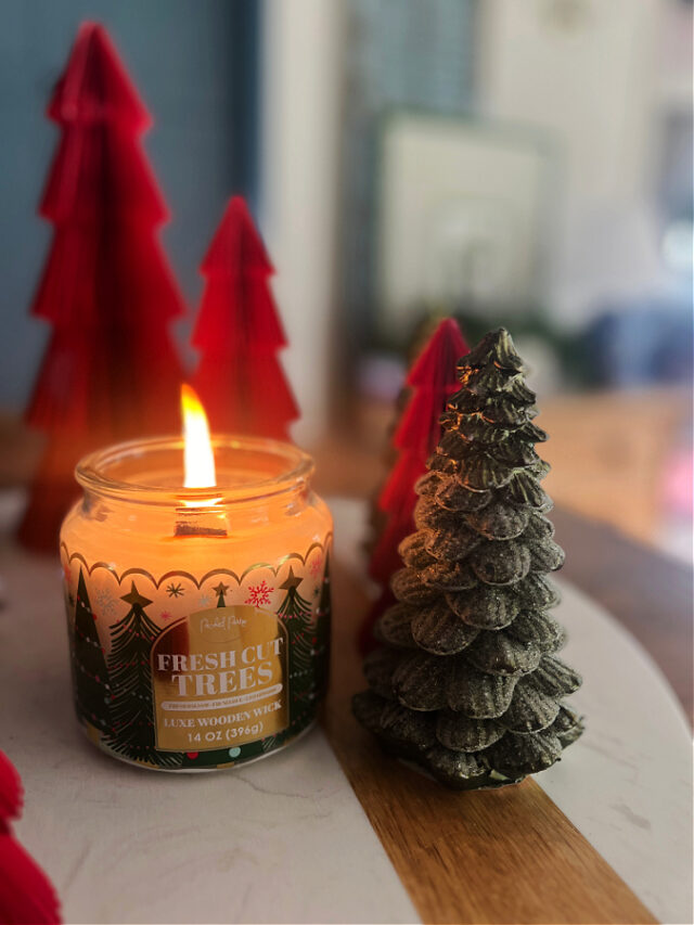 Bougies Chauffe-plat Parfumées Winter Woods - Lot De 9 - Nouveau Sans étiquette