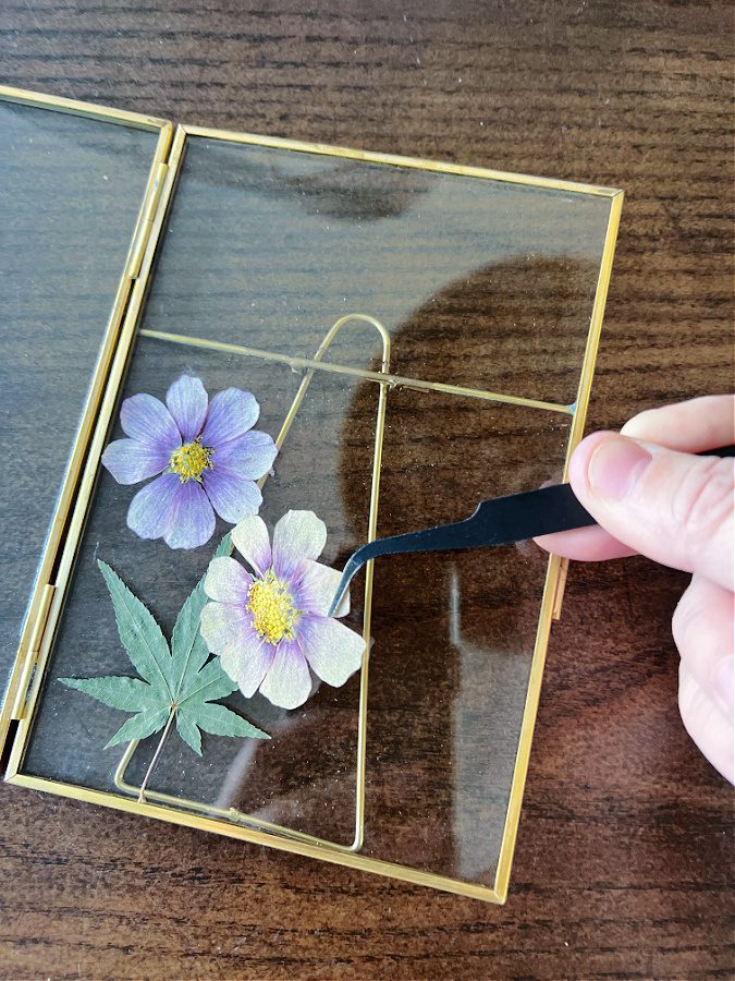 Carefully placing the pretty pressed flowers into the frame.
