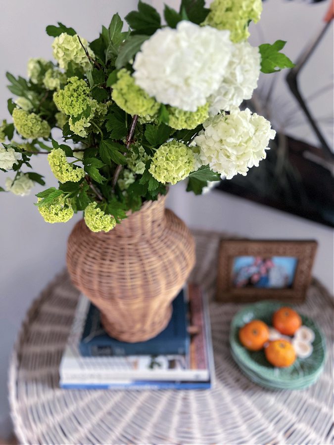 Viburnum, blooms in a wicker vase on a table.