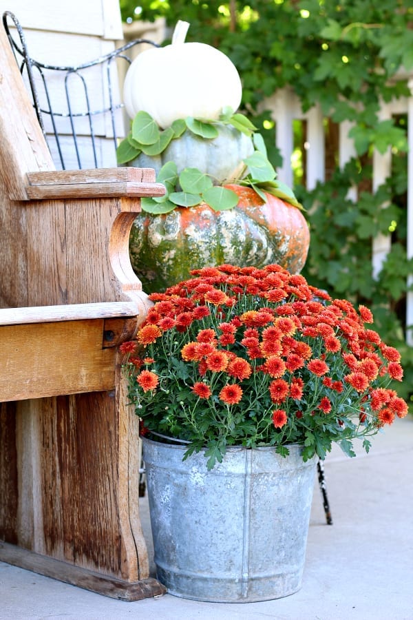 Mums, pumpkins and old vintage contaiers are perfect for Fall porch decor.