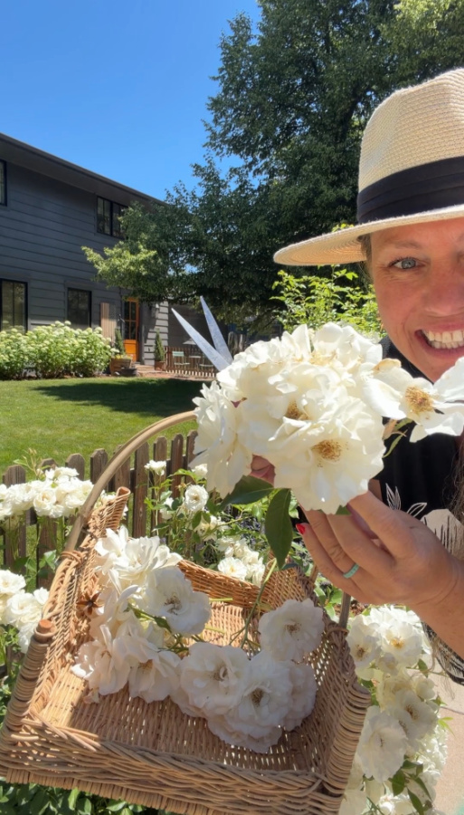 white iceberg roses being held after cut