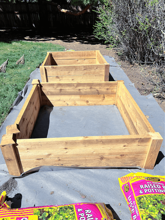 what to fill your raised garden beds with prep