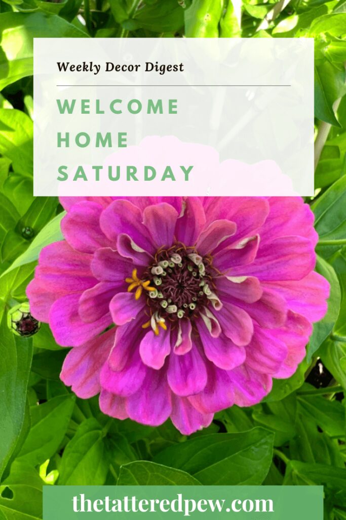Welcome Home Saturday: Zinnias are blooming