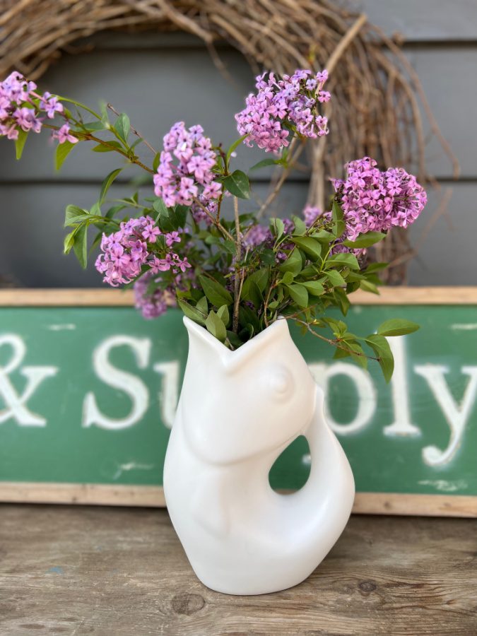 Fresh lilacs in my favorite white gurgle pot pitcher