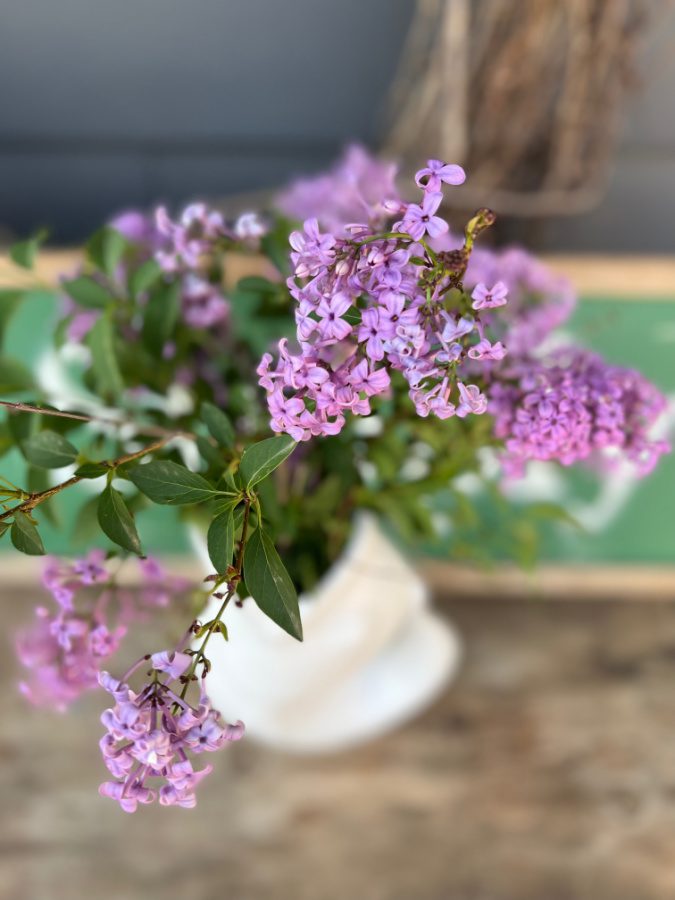 Lilacs in a gurgle pot vase