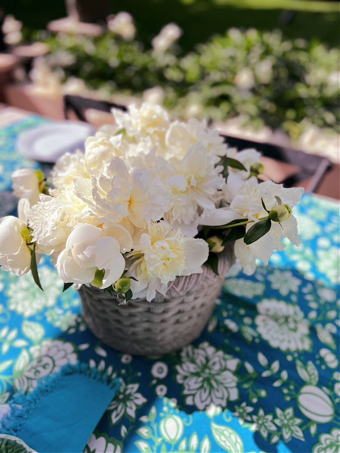 white peonies in concrete pot as centerpiece on outdoor table