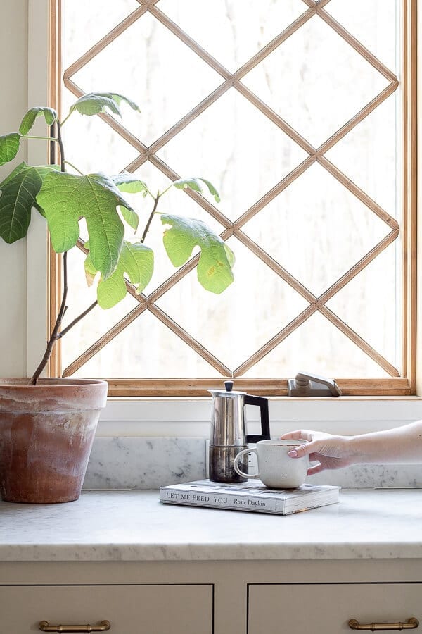 Welcome Home Sunday: Working on your green thumb with Houseplants