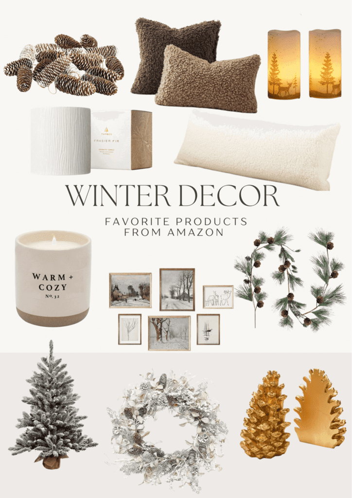 Winter Decor from Amazon