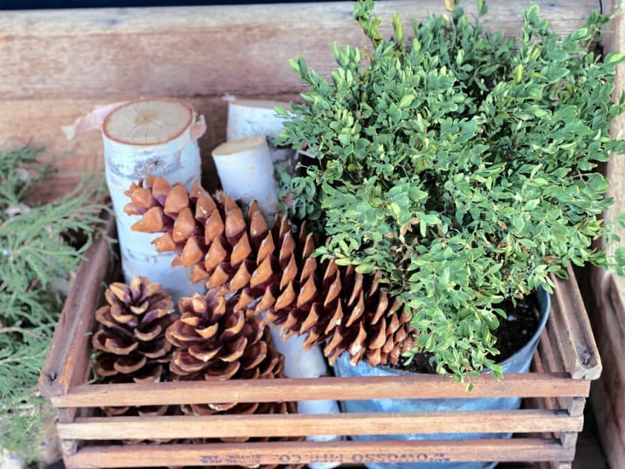 The perfect winter porch vignette.