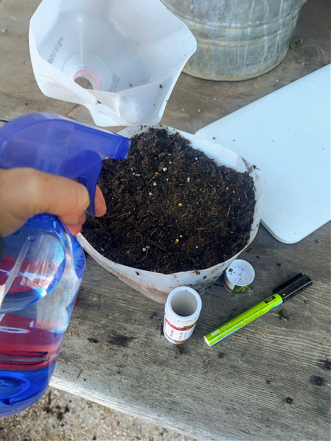 spraying soil in milk jug