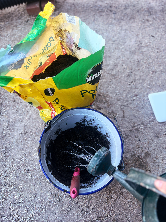 pouring water into soil