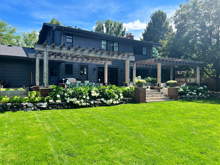 Our backyard in June