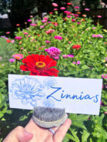 Free Printable Garden Markers For Flowers and Herbs » Grow Beauty With Ease