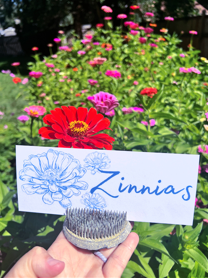 zinnia garden marker printable