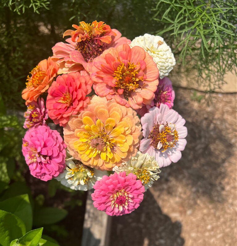 2024 seed list boquet